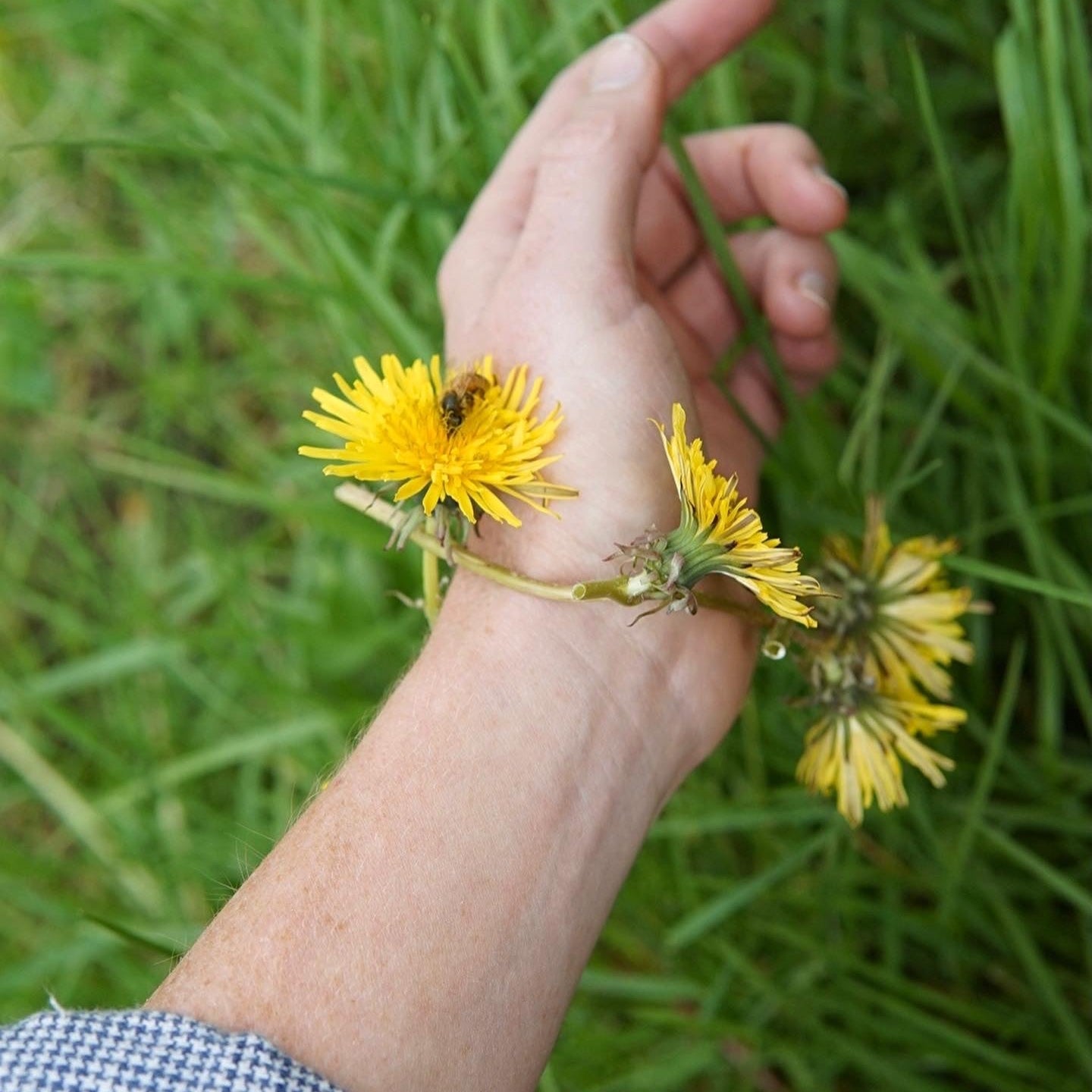 Allergy Season & the Body's Inner Landscape: Herbal Support for Seasonal Transitions