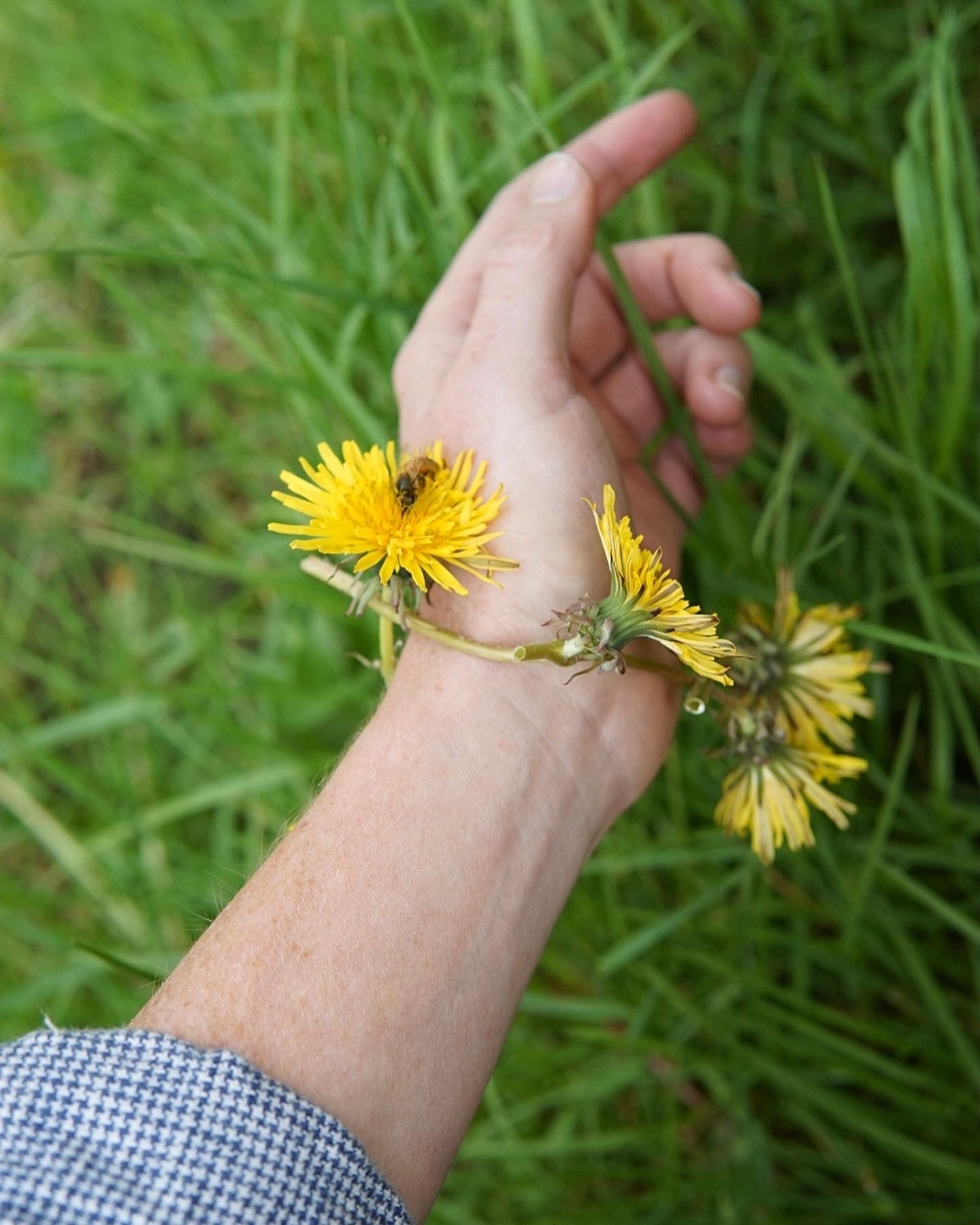 Allergy Season & the Body's Inner Landscape: Herbal Support for Seasonal Transitions