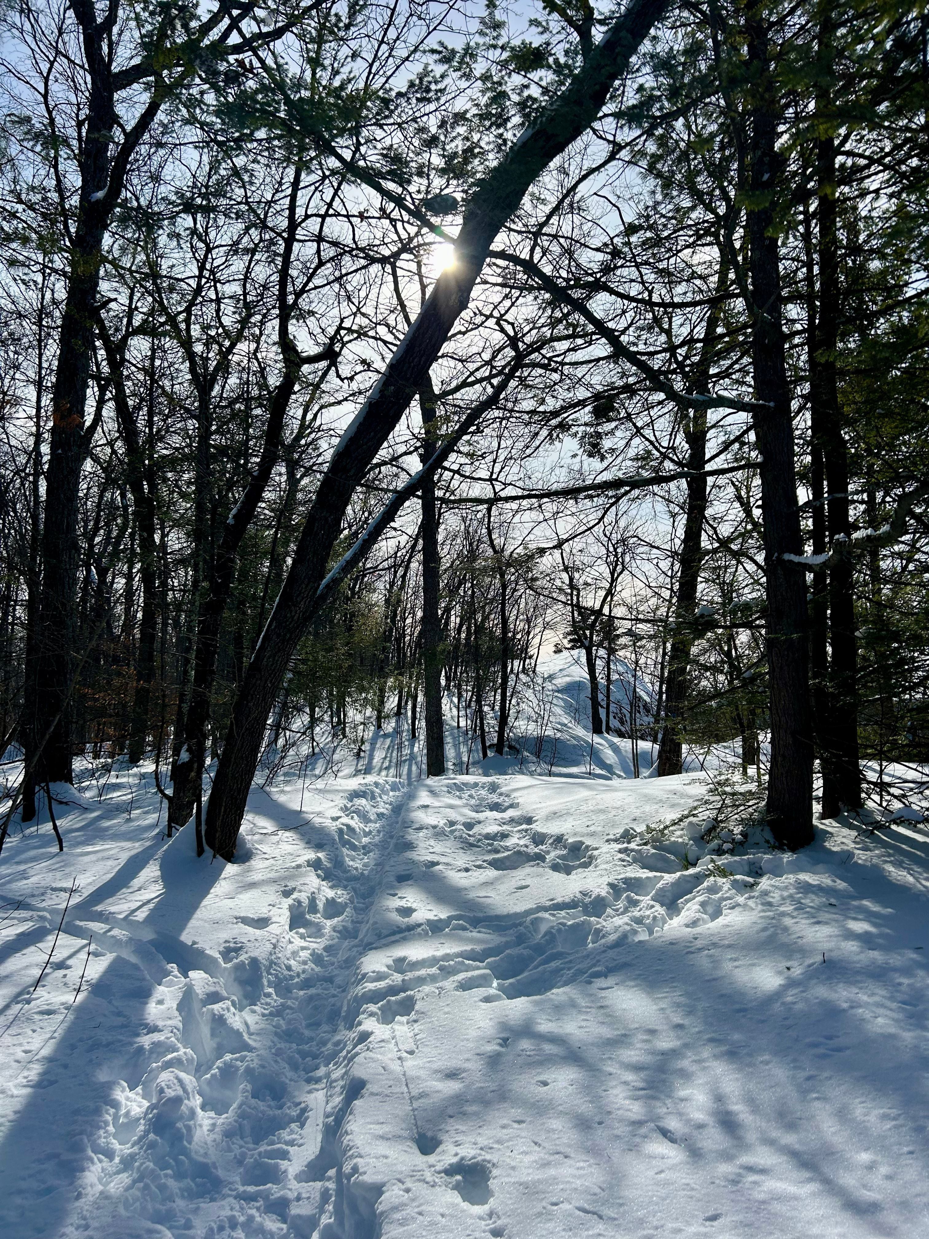 Rituals and Herbs for Winter Dryness