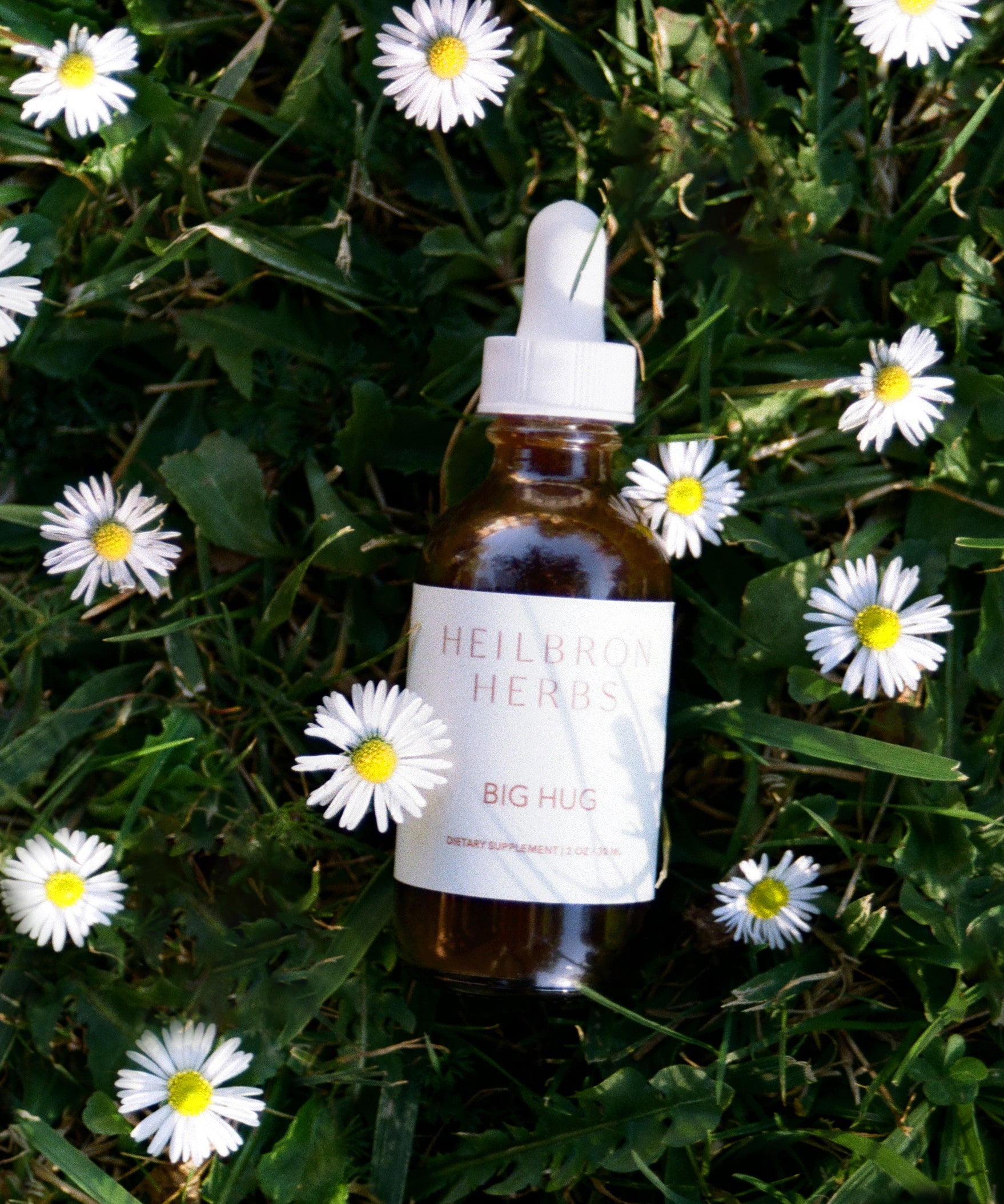 Big Hug tincture on a bed of daisies